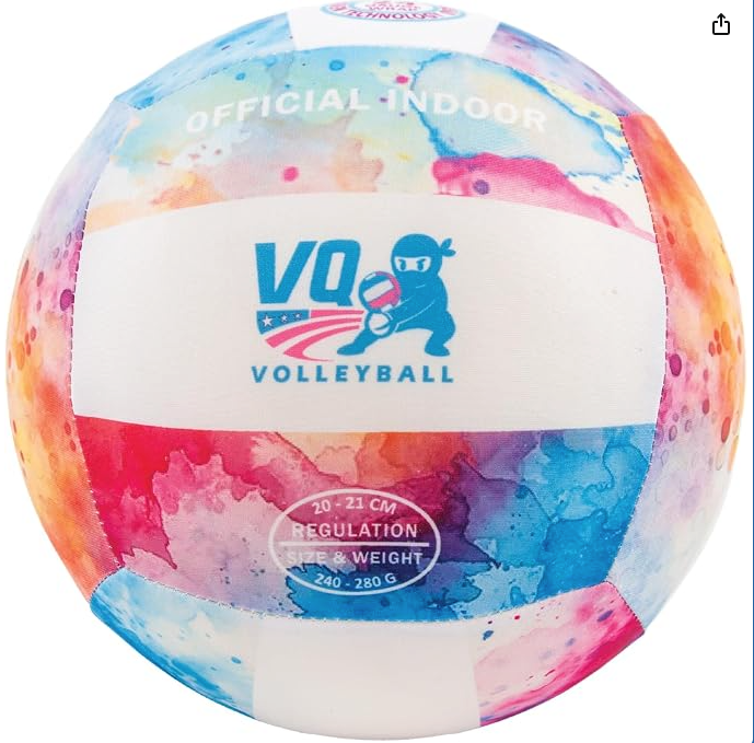 VQ Silent Volleyball